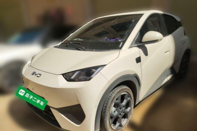 Used BYD Seagull 2025 Smart Drive Version 305 km Freedom Edition