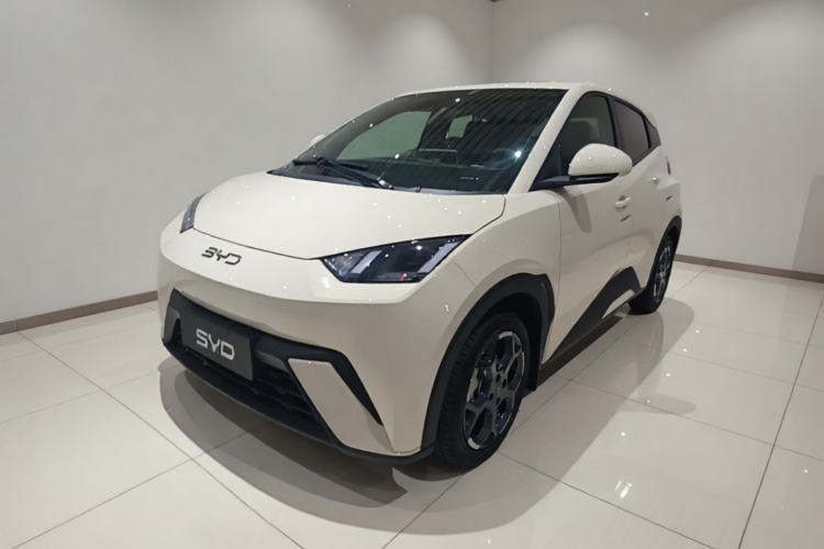 Used BYD Seagull 2025 305 km Free Version Guazi used car, China used car export, Used car for sale, Used  cars, Cheapest cars for sale