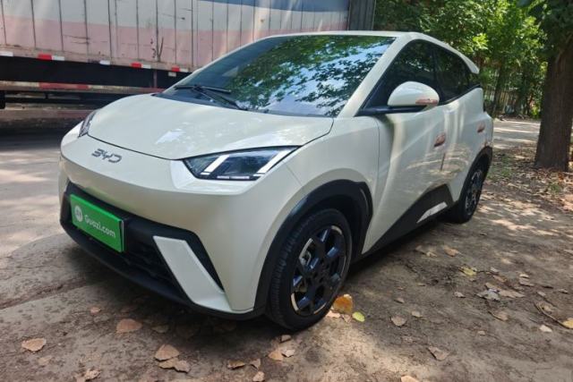 Used BYD Seagull 2025 305 km Free Version