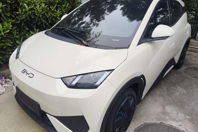 BYD Seagull 2025 305km Active Version