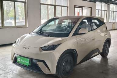 Used BYD Seagull 2025 305km Active Version
