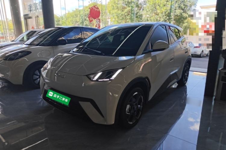 BYD Seagull 2025 305 km Free Version
