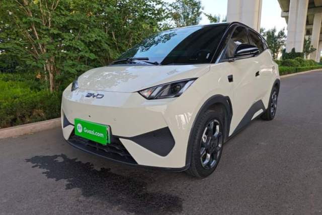 Used BYD Seagull 2025 Smart Drive Version 305 km Freedom Edition