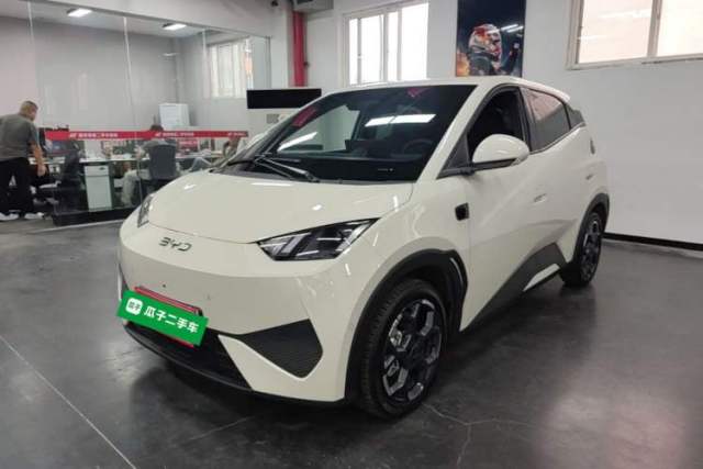 Used BYD Seagull 2025 Smart Drive Version 305 km Freedom Edition