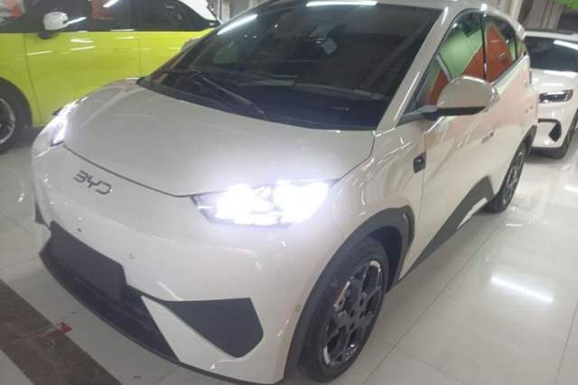 Used BYD Seagull 2025 Smart Drive Version 305 km Freedom Edition