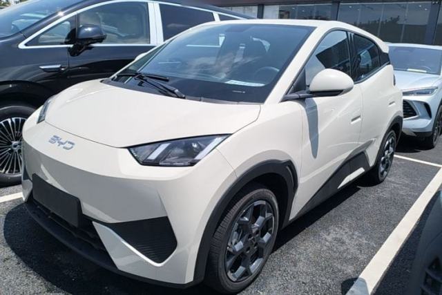 Used BYD Seagull 2025 Model Smart Drive Version 405km Free-Spirited Version