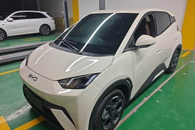 Used BYD Seagull 2025 305 km Free Version