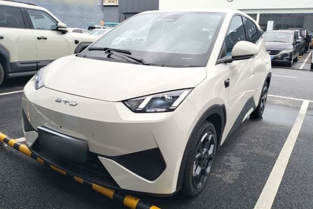 Used BYD Seagull 2025 Smart Drive Version 305 km Freedom Edition