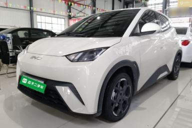 Used BYD Seagull 2025 305 km Free Version