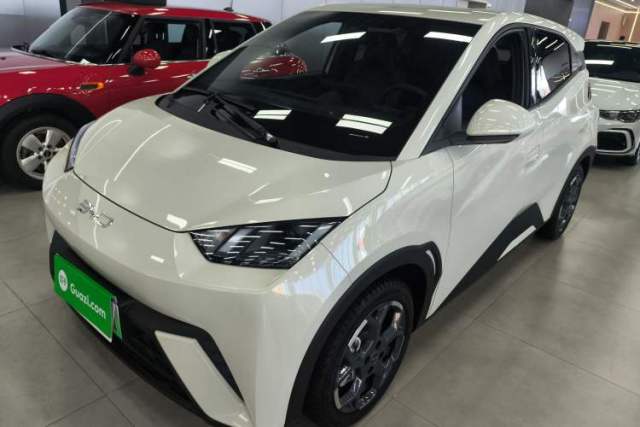 Used BYD Seagull 2025 305 km Free Version
