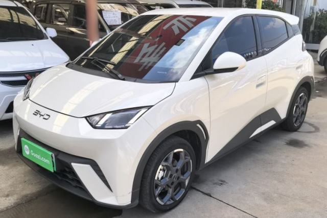 Used BYD Seagull 2025 305 km Free Version
