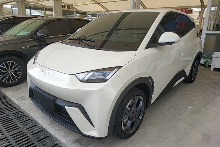 Used BYD Seagull 2025 305 km Free Version Guazi used car, China used car export, Used car for sale, Used  cars, Cheapest cars for sale