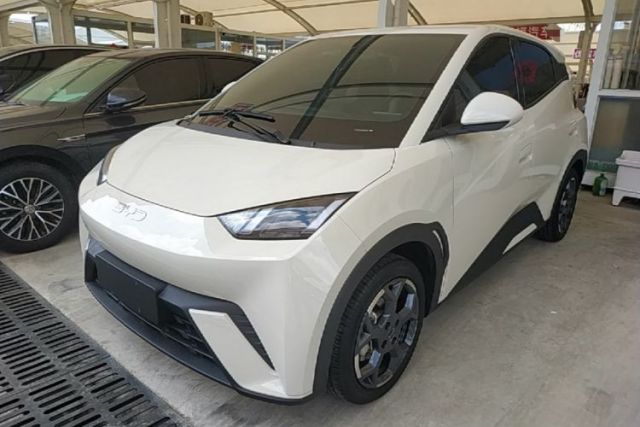 Used BYD Seagull 2025 305 km Free Version