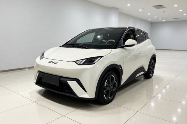 Gebrauchter BYD Seagull 2025 305 km Free Version