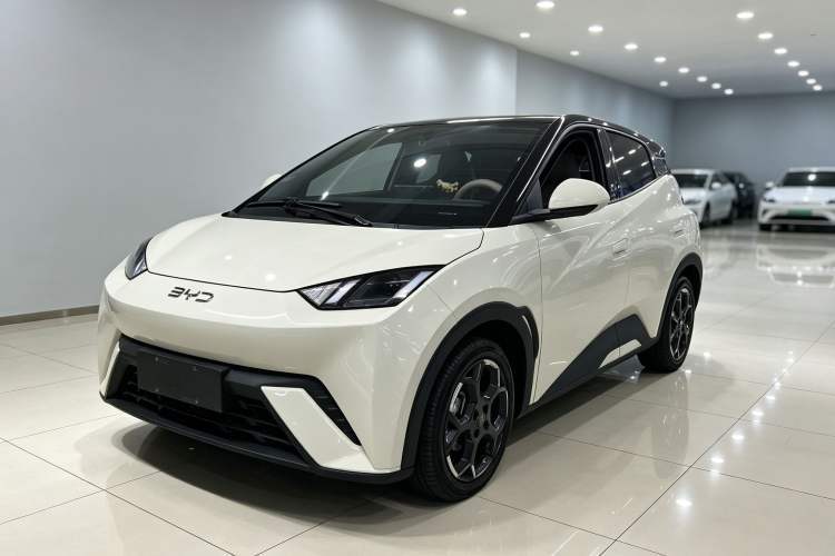 Used BYD Seagull 2025 305 km Free Version Guazi used car, China used car export, Used car for sale, Used  cars, Cheapest cars for sale