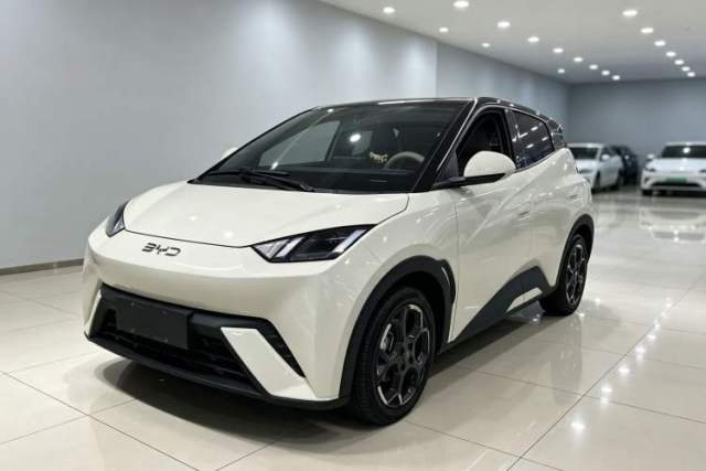 Used BYD Seagull 2025 305 km Free Version