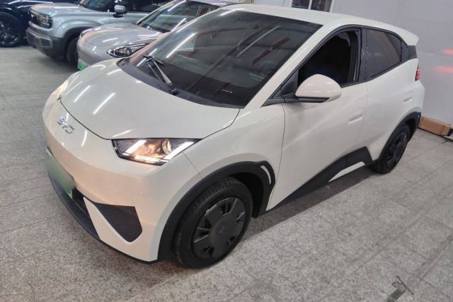 Used BYD Seagull 2025 305 km Free Version