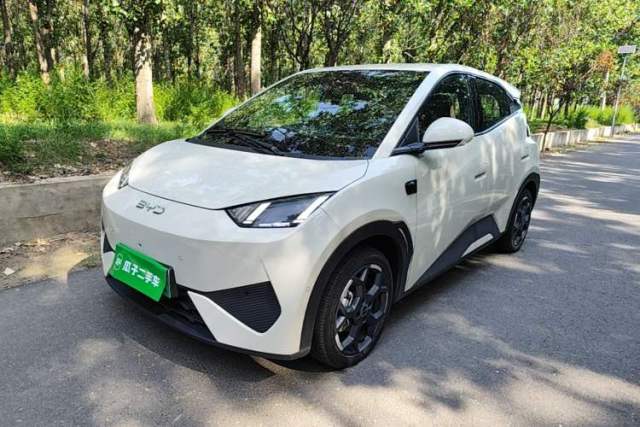 Used BYD Seagull 2025 Smart Drive Version 305 km Freedom Edition