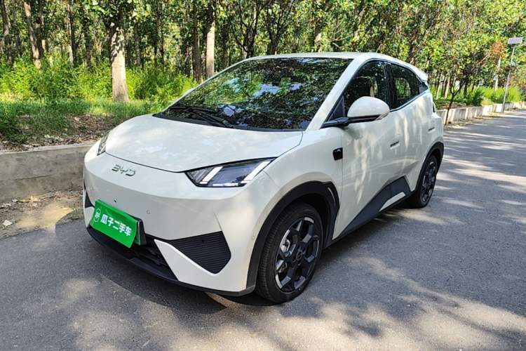 Used BYD Seagull 2025 Smart Drive Version 305 km Freedom Edition Guazi used car, China used car export, Used car for sale, Used cars, Cheapest cars for sale