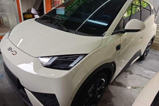 Used BYD Seagull 2025 Smart Drive Version 305 km Freedom Edition