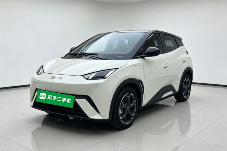 BYD Seagull 2025 305 km Free Version