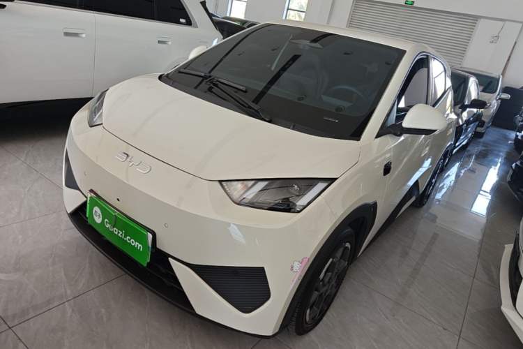 BYD Seagull 2025 Smart Drive Version 305 km Freedom Edition