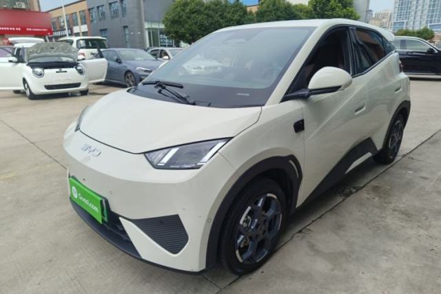Used BYD Seagull 2025 Smart Drive Version 305 km Freedom Edition