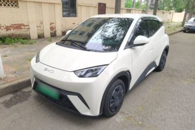 Used BYD Seagull 2025 305km Active Version