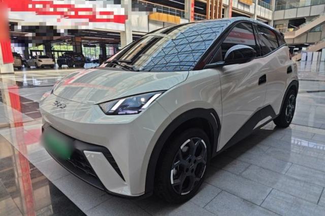 Used BYD Seagull 2025 305 km Free Version