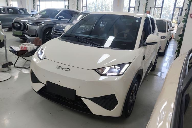 BYD Seagull 2025 Smart Drive Version 305 km Freedom Edition