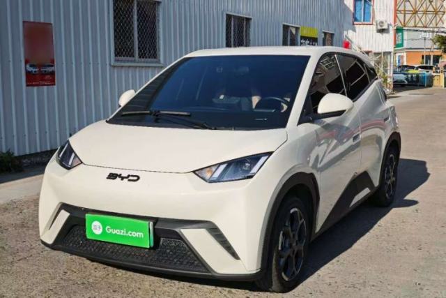 Used BYD Seagull 2025 305 km Free Version