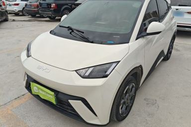 Used BYD Seagull 2025 305 km Free Version