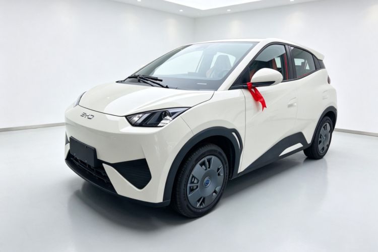 BYD Seagull 2025 Intelligent Driving Version 305 km Dynamic Edition