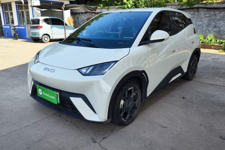 Used BYD Seagull 2025 305 km Free Version Guazi used car, China used car export, Used car for sale, Used  cars, Cheapest cars for sale