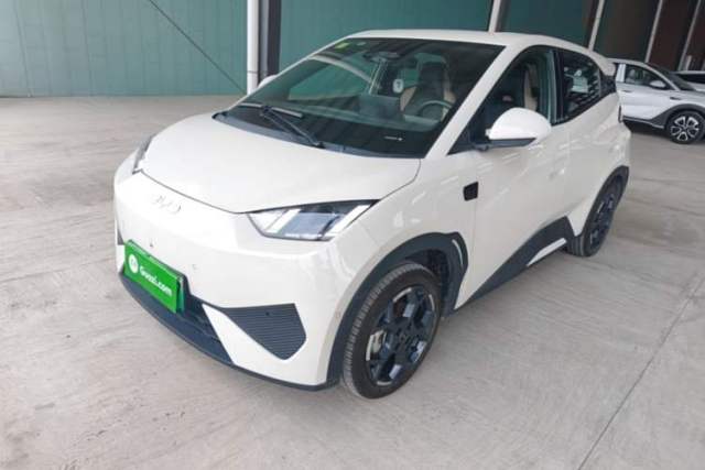 Used BYD Seagull 2025 Smart Drive Version 305 km Freedom Edition