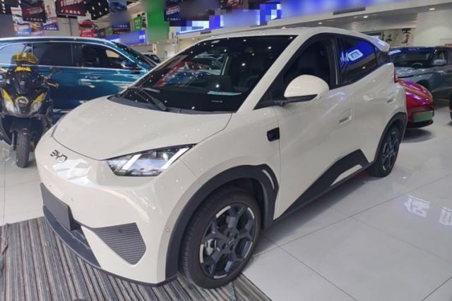 Used BYD Seagull 2025 Smart Drive Version 305 km Freedom Edition