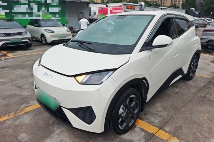 BYD Seagull 2025 Model Smart Drive Version 405km Free-Spirited Version