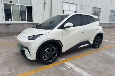Used BYD Seagull 2025 305 km Free Version
