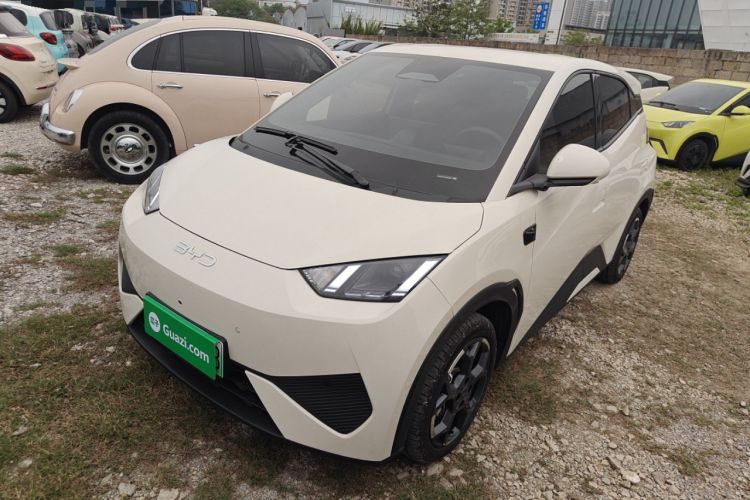 BYD Seagull 2025 Smart Drive Version 305 km Freedom Edition