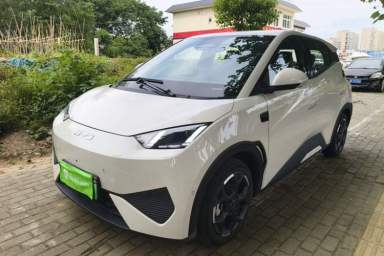 Used BYD Seagull 2025 Smart Drive Version 305 km Freedom Edition