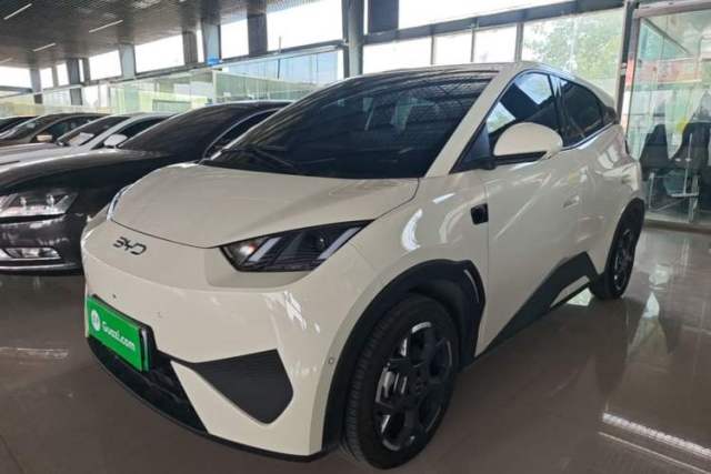 Used BYD Seagull 2025 Smart Drive Version 305 km Freedom Edition