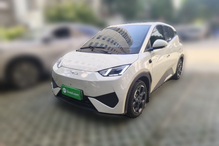 BYD Seagull 2025 Smart Drive Version 305 km Freedom Edition
