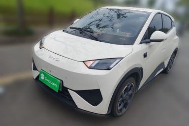 Used BYD Seagull 2025 Smart Drive Version 305 km Freedom Edition