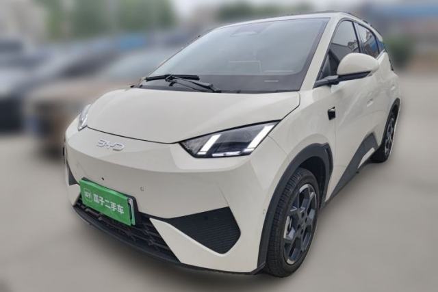Used BYD Seagull 2025 Smart Drive Version 305 km Freedom Edition