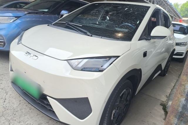 Used BYD Seagull 2025 Smart Drive Version 305 km Freedom Edition