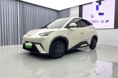 Used BYD Seagull 2025 305km Active Version