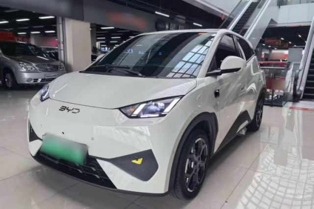 Used BYD Seagull 2025 Smart Drive Version 305 km Freedom Edition