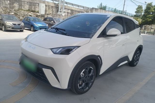 Used BYD Seagull 2025 305 km Free Version