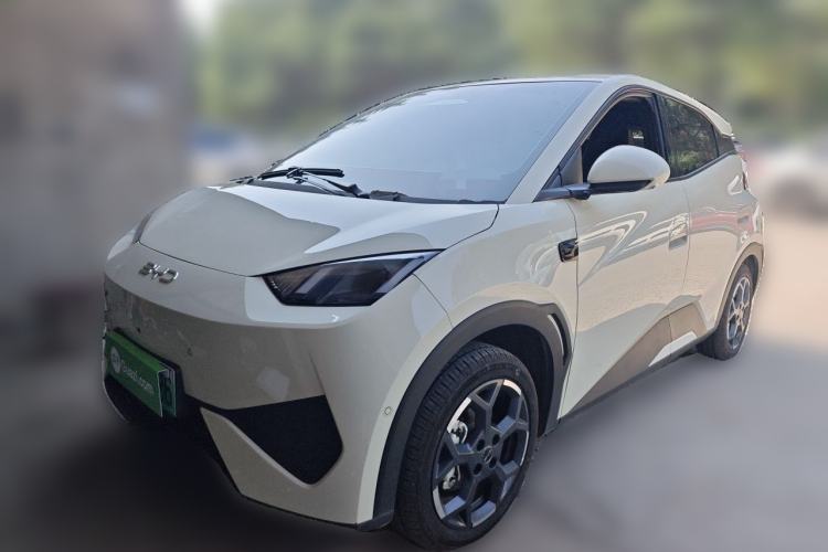 BYD Seagull 2025 Smart Drive Version 305 km Freedom Edition