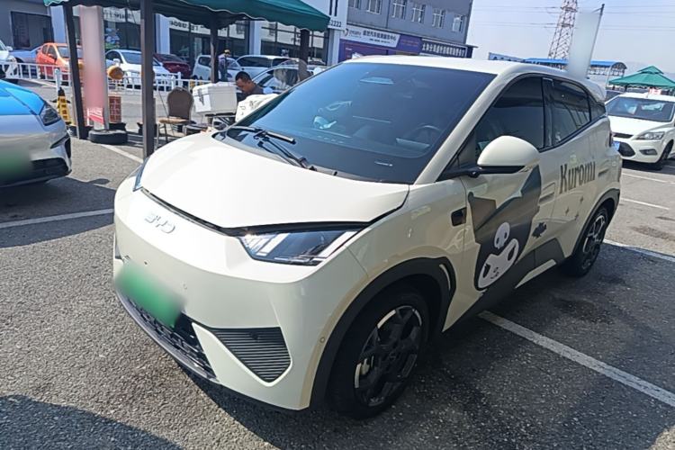BYD Seagull 2025 Smart Drive Version 305 km Freedom Edition